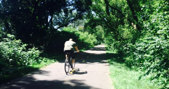 A man biking on a wooded trail