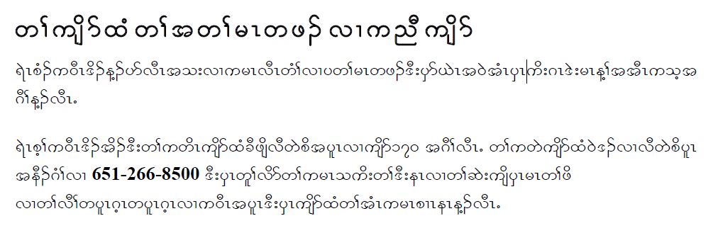 Help text in Karen language. Call 651-266-8500 for assistance.