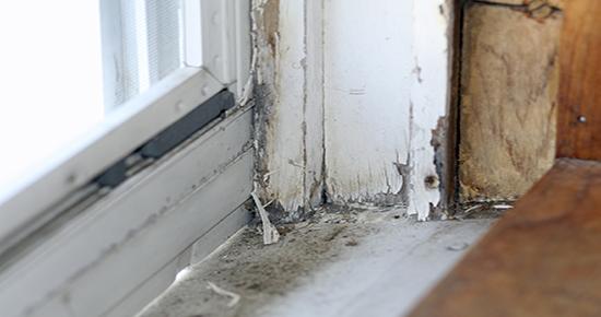 A windowsill with cracked paint chips 